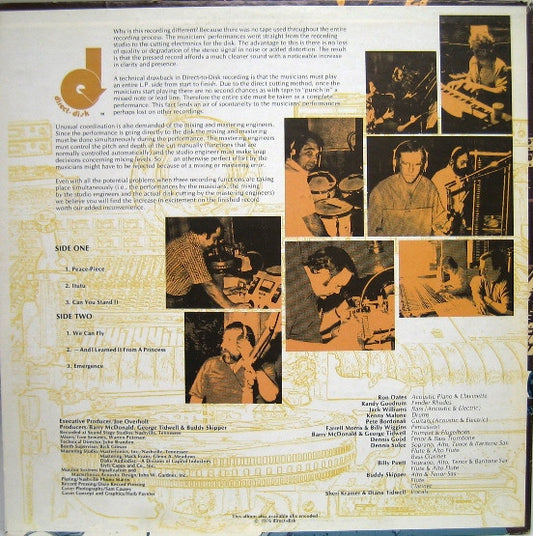 The Grab Bag : Audio Directions (LP, Album)