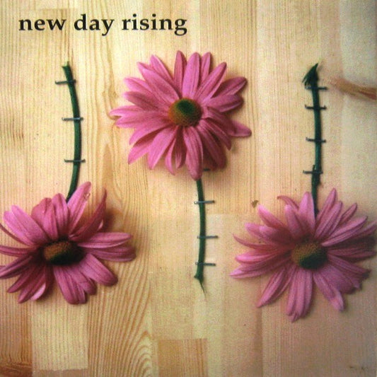 Despair (2) / New Day Rising : Despair / New Day Rising (7")