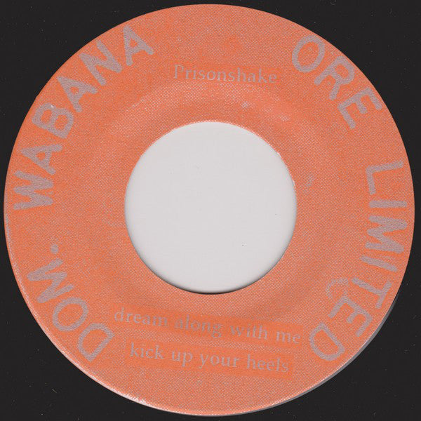 Prisonshake : Fuck Your Self Esteem (7", Single)