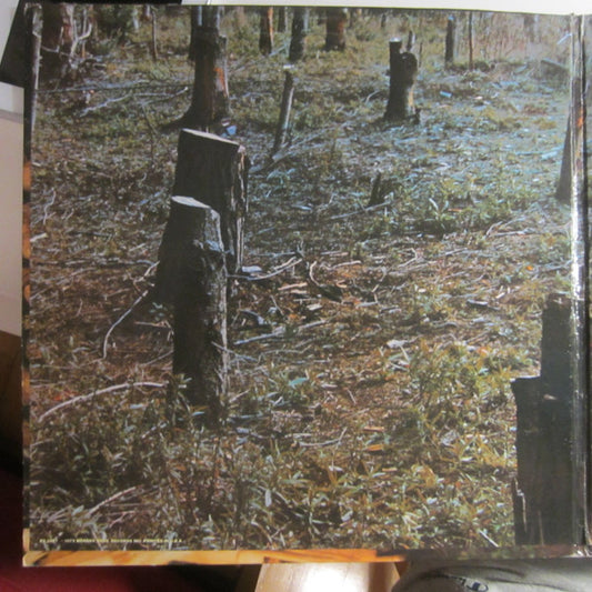 Gene Parsons : Kindling (LP, Album, Pit)