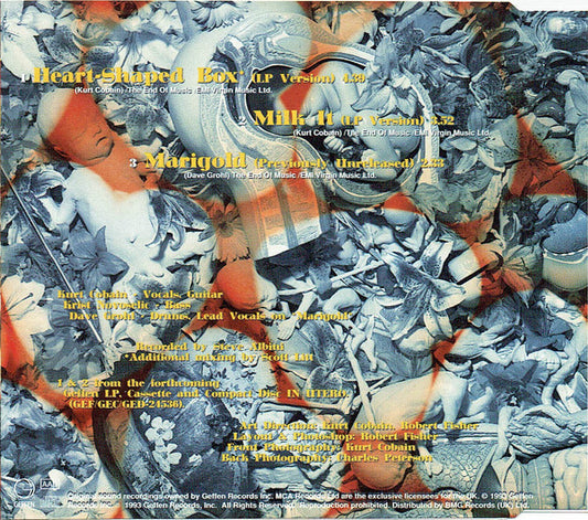 Nirvana : Heart-Shaped Box (CD, Single, RE)