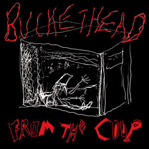Buckethead : From The Coop (CD, Album)