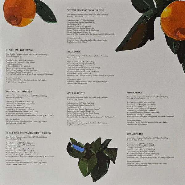 Lana Del Rey : Violet Bent Backwards Over The Grass (LP, Album, Gat)