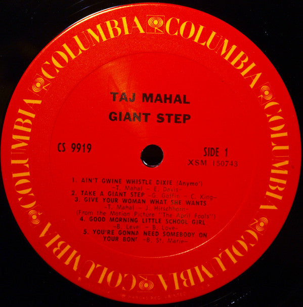 Taj Mahal : Giant Step / De Ole Folks At Home (2xLP, Album, RE, Pit)