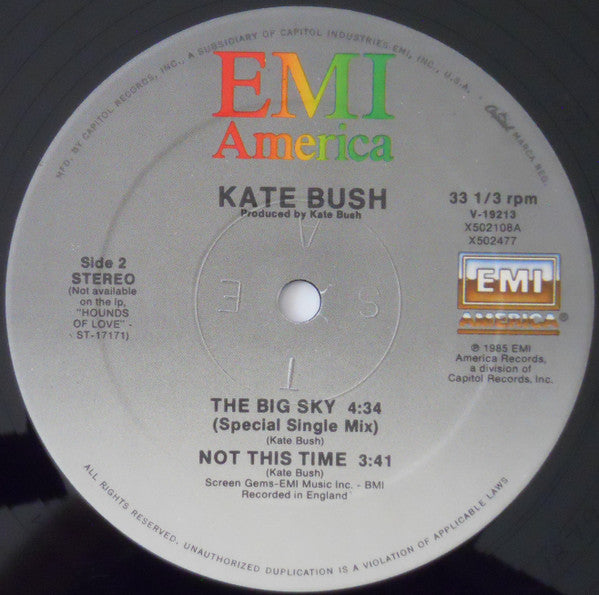 Kate Bush : The Big Sky (Meteorological Mix) (12", Single)