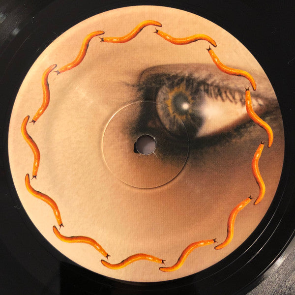 A Perfect Circle : Thirteenth Step (2xLP, Album, RE)