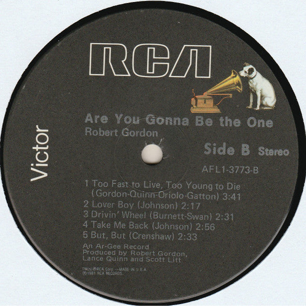 Robert Gordon (2) : Are You Gonna Be The One (LP, Album, Ind)