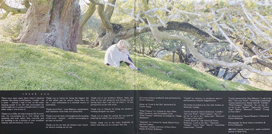 Porter Robinson : Nurture (2xLP, Album, Cle)