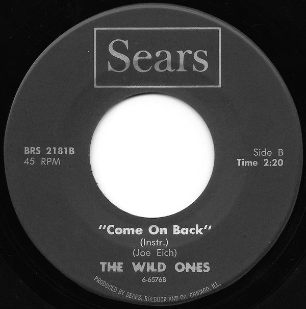 The Wild Ones (3) : Come On Back (7", Single)