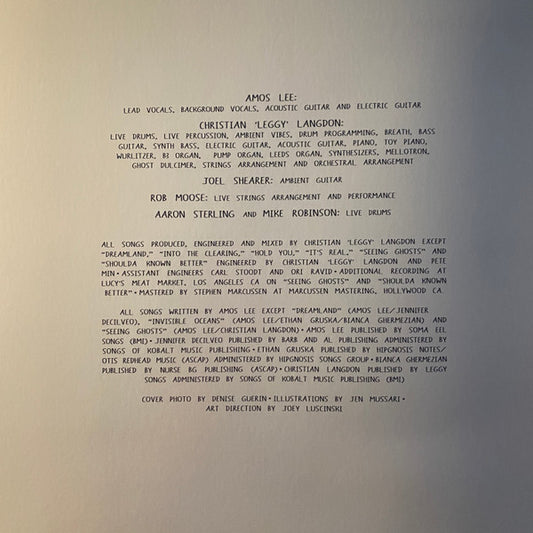 Amos Lee : Dreamland (LP, Album)