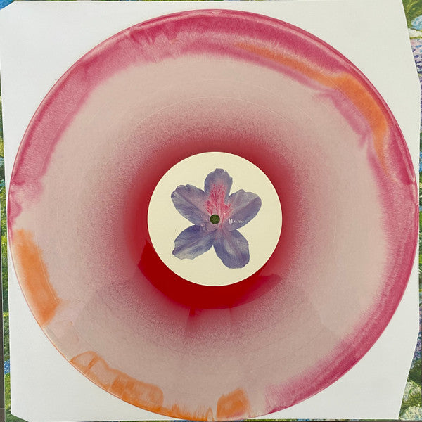 Fiddlehead (2) : Between the Richness (LP, Album, Ora)