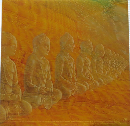 Devadip : Oneness (Silver Dreams~Golden Reality) (LP, Album, Pit)