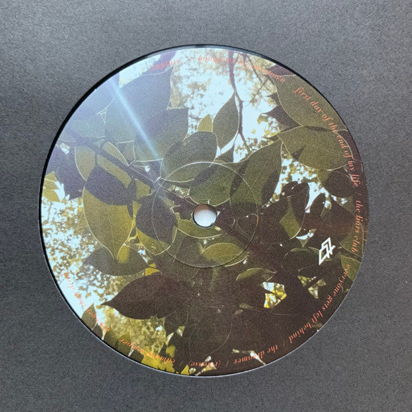 Amigo The Devil : Everything is Fine (LP, Album)