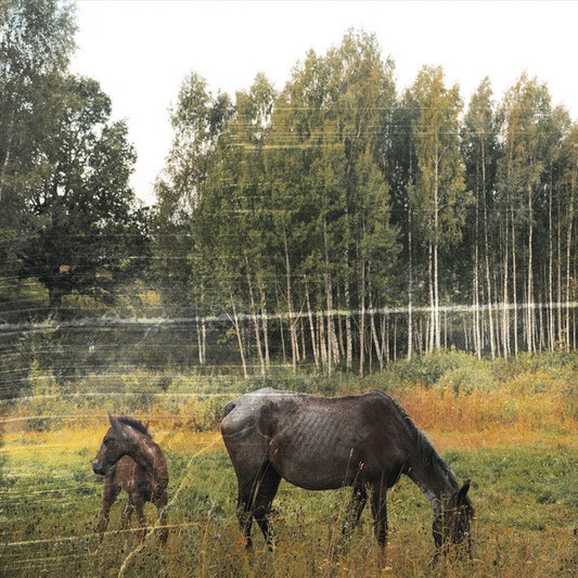 Pianos Become The Teeth : Old Pride (CD, Album, Dig)