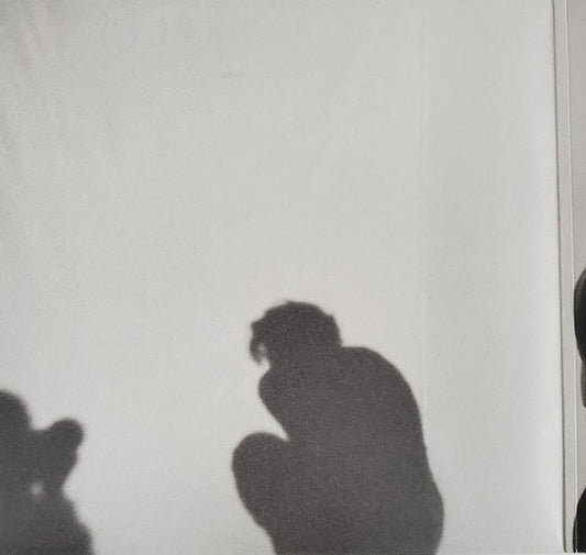 Harry Styles : Harry’s House (LP, Album)