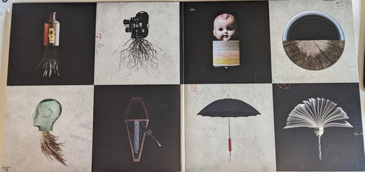Foo Fighters : Echoes, Silence, Patience & Grace (2xLP, Album, RE)
