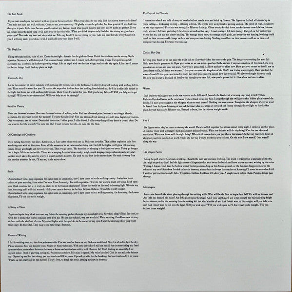 AFI : The Art Of Drowning (LP, Album, RE)