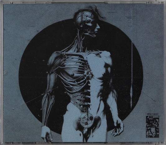 Randy Greif : Lost Contact (CD, Album, RE)