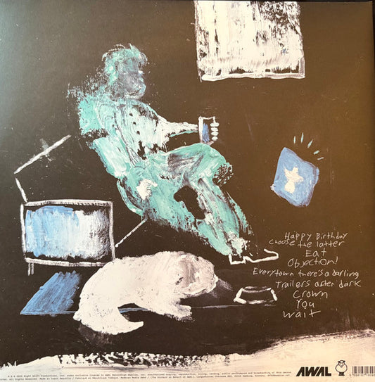 Finn Wolfhard : Happy Birthday (LP, Album, Bla)