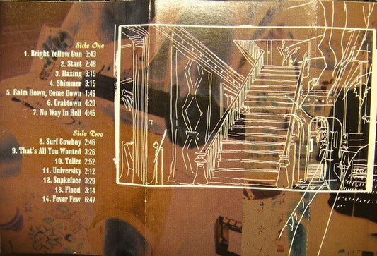 Throwing Muses : University (Cass, Album)