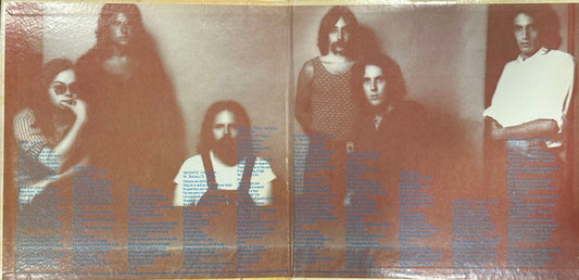 Steely Dan : Can't Buy A Thrill (LP, Album, Club, RP, CRC)