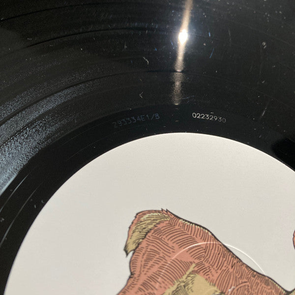 Michael Cera Palin : We Could Be Brave (LP, Album)