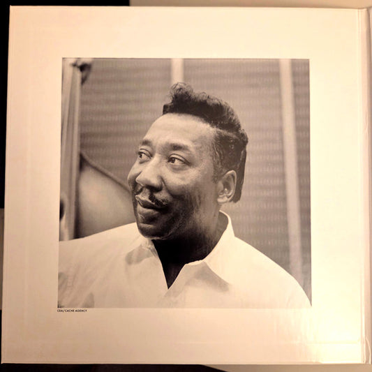 Muddy Waters : Folk Singer (LP, Album, Mono, RE, RM, 180)