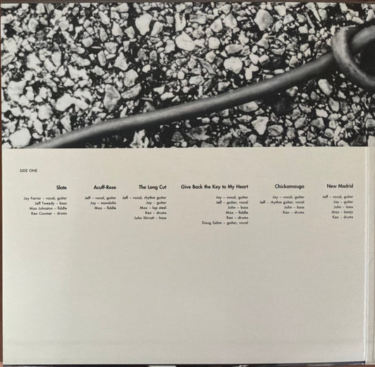 Uncle Tupelo : Anodyne (LP, Album, Ltd, Num, RE, 180)