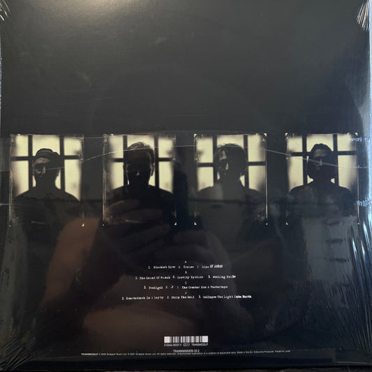 Porcupine Tree : In Absentia (2xLP, Album, RE, RM, Cry)