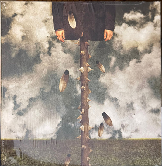 Poison The Well : You Come Before You (LP, Album, Gre)