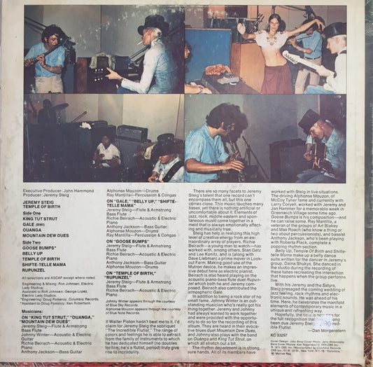 Jeremy Steig : Temple Of Birth (LP, Album)