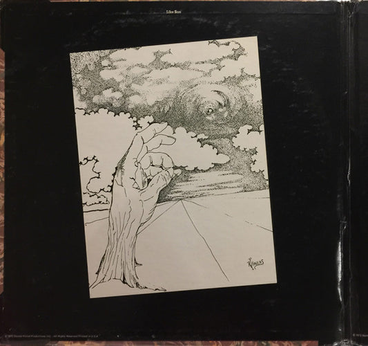 Richie Havens : Portfolio (LP, Album, Promo, Gat)