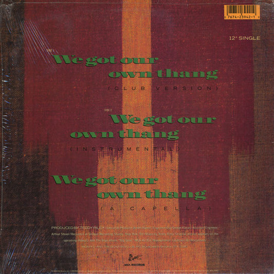 Heavy D. & The Boyz : We Got Our Own Thang (12", Single, Pin)