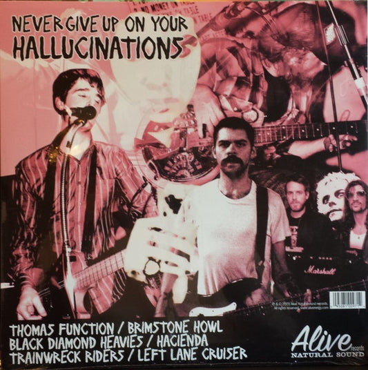 Various : Never Give Up On Your Hallucinations (LP, Comp, Ltd)