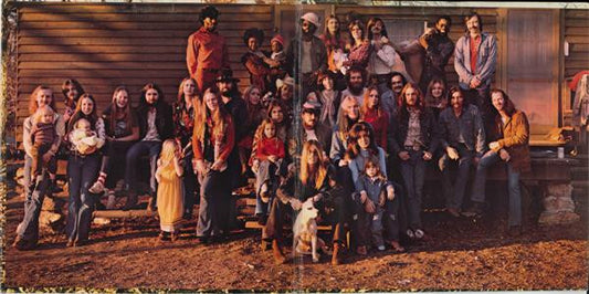The Allman Brothers Band : Brothers And Sisters (LP, Album, M/Print, Pit)