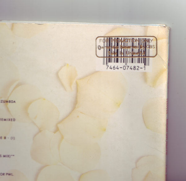 Dead Or Alive : I'll Save You All My Kisses (The Sonia Mezumbda Memorial Mix) (12", Single)