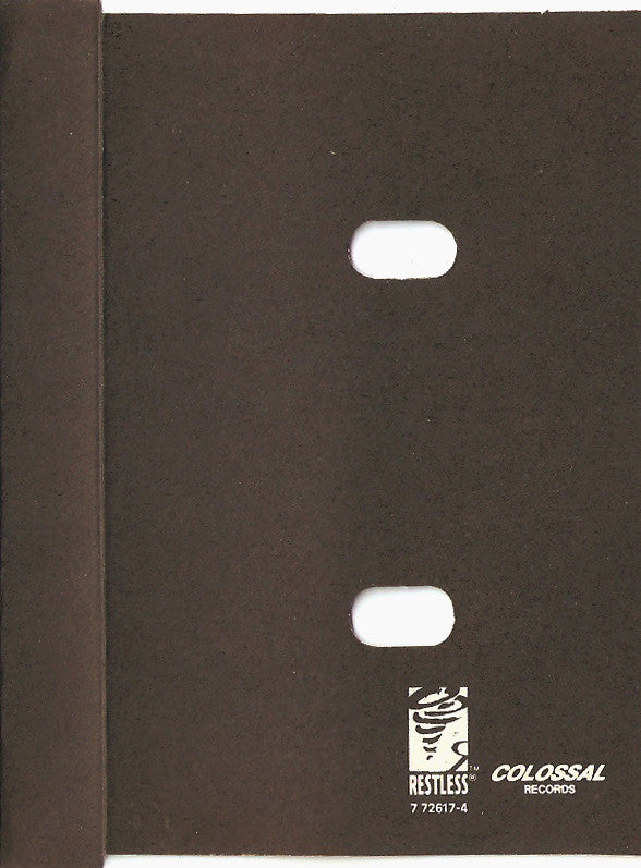 Indestroy : Senseless Theories (Cass, EP)