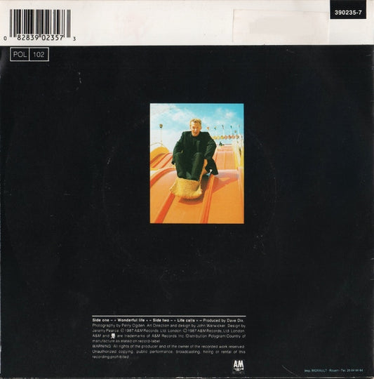 Black (2) : Wonderful Life (7", Single)