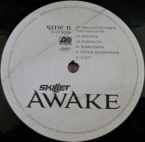 Skillet : Awake (LP, Album)