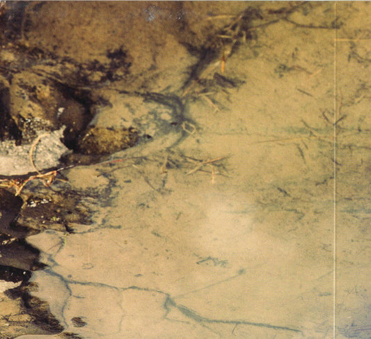 Esperanza Spalding : Emily's D+Evolution (CD, Album, Dig)