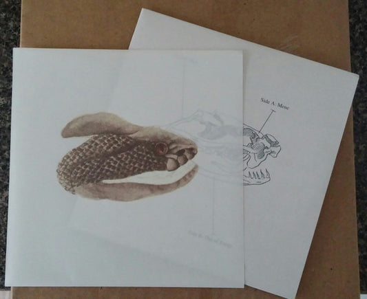 Brand New : Mene (7", Single, Cle)