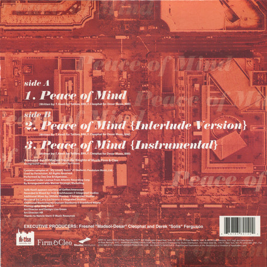 Talib Kweli : Peace Of Mind (12", Single)