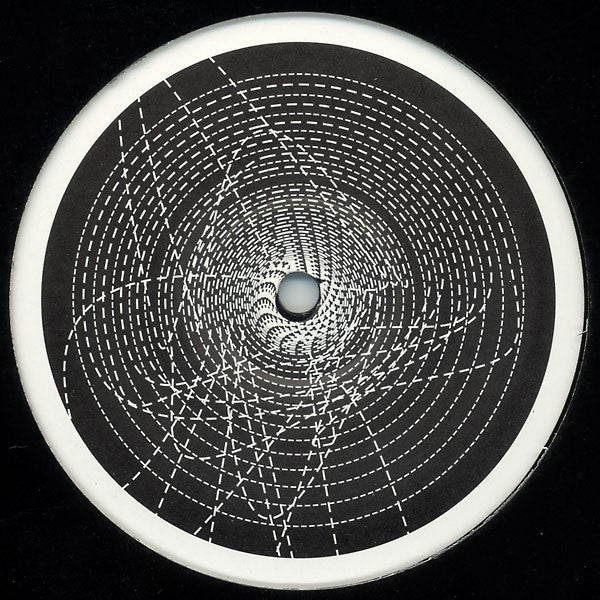 Paradox : Aries Maze / Reykjavik (12")