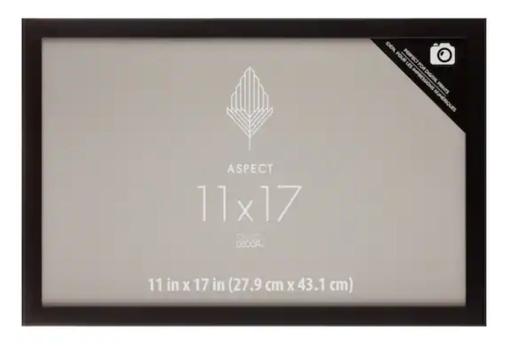 11x17 Premium Frame NH Vintage Vinyl