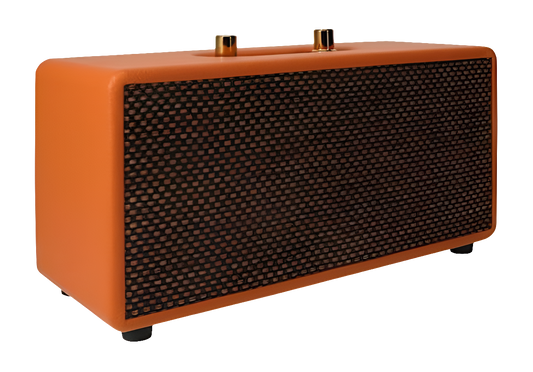 Amped Wireless Bluetooth Speaker