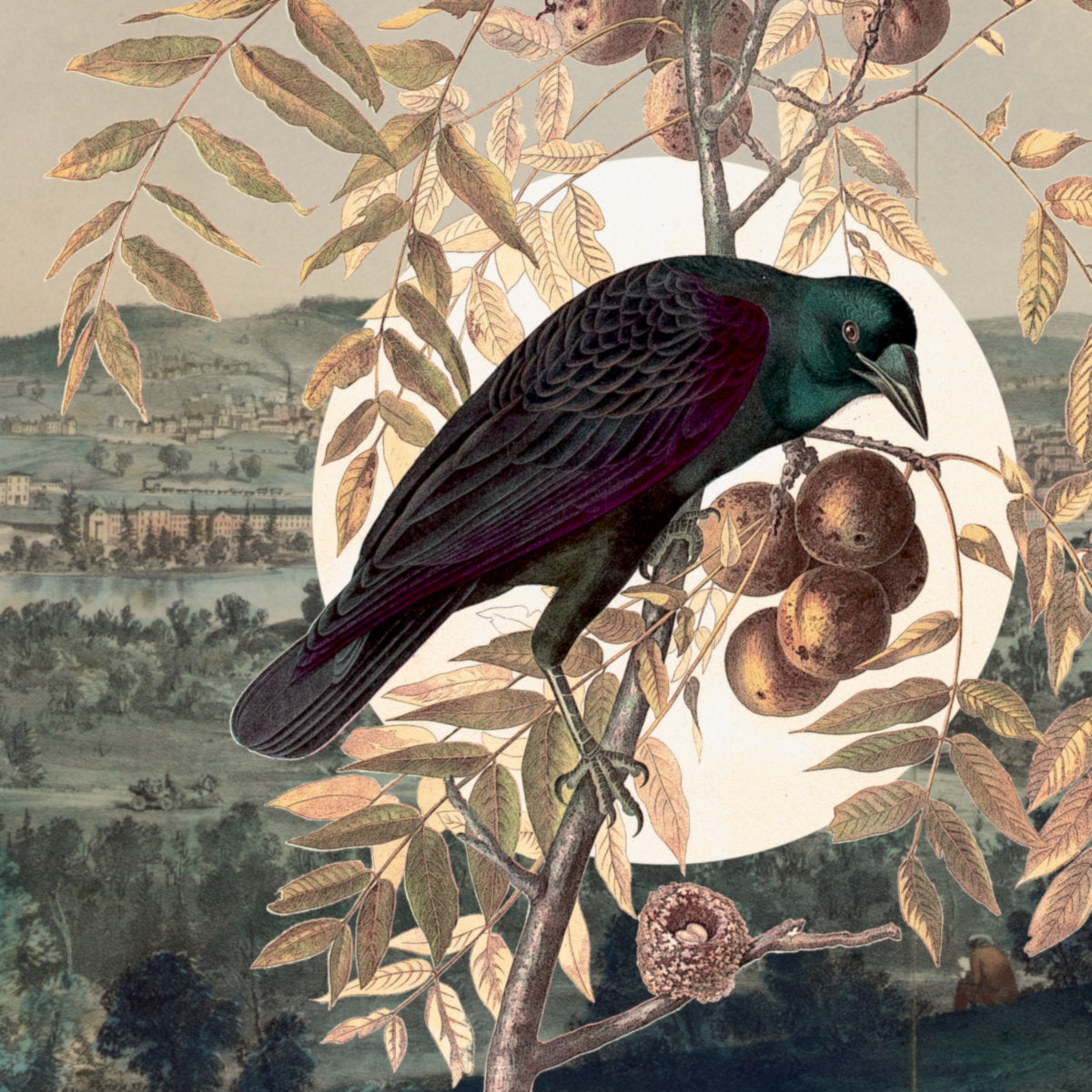 Illustration of a bird perched on a branch with leaves and fruit, set against a landscape.