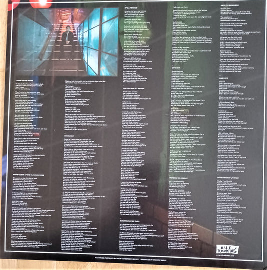 Brian Dunne (2) : Loser on the Ropes (LP, Album, Cor)