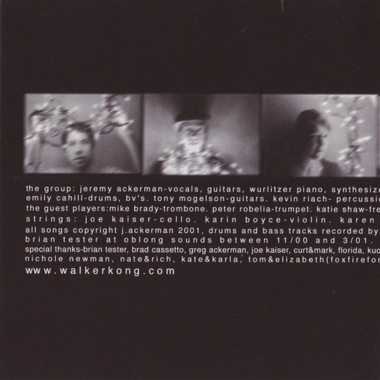 Walker Kong : There Goes The Sun (CD, Album)