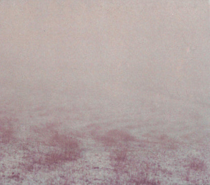 Slowdive : Slowdive (CD, Album)