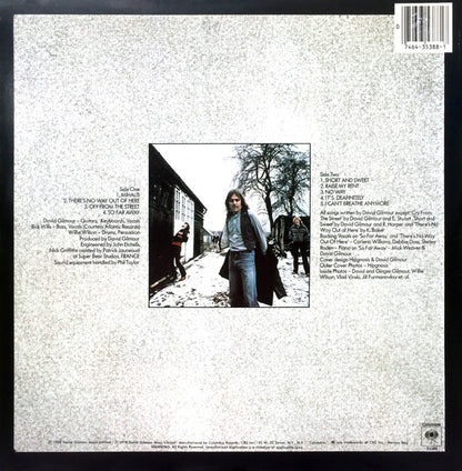 David Gilmour : David Gilmour (LP, Album, RE, Gat)